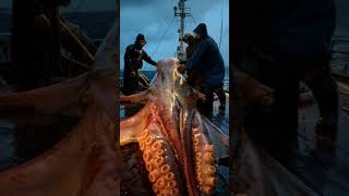 Giant Sea Monsters Caught by Fishermen 🐙🎣GiantSeaCreatures FishingDiscoveries OceanMysteries [upl. by Garris354]