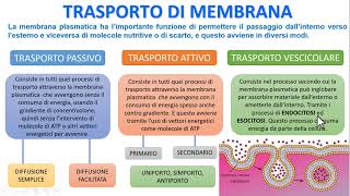 LA MEMBRANA PLASMATICA  Trasporto Attivo Passivo e Vescicolare [upl. by Messing20]