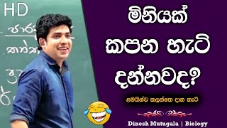 ආයි නැගිටිනවා බොරු 😂  Dinesh Muthugala  dineshmuthugala muthugalasir [upl. by Freda]