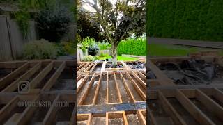 Framing a sundeck around this beautiful maple tree deckconstruction homeimprovement backyardgoals [upl. by Harriette]