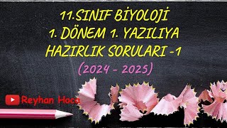 11 SINIF BİYOLOJİ 1DÖNEM 1YAZILI ÖRNEKLERİ 20242025 [upl. by Yssak]