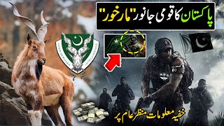 Unbelievable Hidden Facts About quotMarkhorquot  Sign of Intelligence  Pak Army  Discover Pakistan [upl. by Ewen]