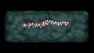 LAMMPS tutorials  Polymer in water  Stretching the PEG molecule [upl. by Najtsirk]