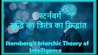 स्टर्नबर्ग का त्रितंत्र का सिद्धांत Sternberg’s triarchic Theory of Intelligence [upl. by Absa]