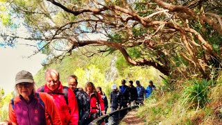 Madeira Levada walks Rabaçal Risco 25 Fontes with Madeira Adventure Kingdom [upl. by Bennet]