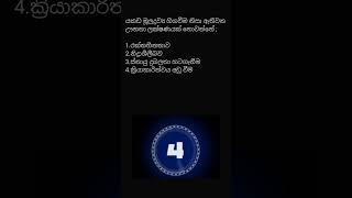 quiz night viral olscience science quiz පිළිතුර පහළින් comment කරන්න gk gkquiz exam [upl. by Morlee]