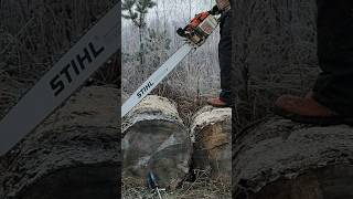 Stihl 076aveq  105cm Laippa  MUUTAMA RISU [upl. by Nauj]