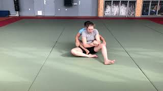 14 Armlocks and Leglocks [upl. by Gibbie]