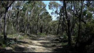 Lerderderg State Park  Blackwood Range Track Southern portion [upl. by Ellac264]