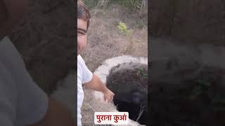 पुराना कुआं farming floodpreparedness gannakikheti indianculture property [upl. by Jemena]