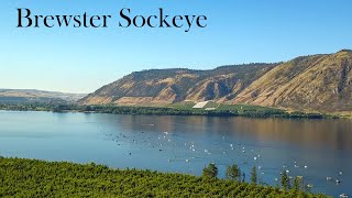 Brewster WA Sockeye Salmon Fishing on the Columbia River [upl. by Jo]