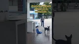 supuesto uso de sustancias ilicitas en secundaria [upl. by Vahe333]