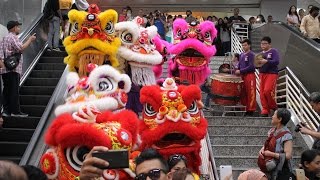 Lion Dancers Invade Avenue K Mall Chinese New Year 2017 [upl. by Nahij]