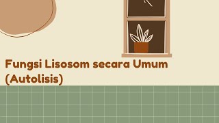 Fungsi Lisosom secara Umum Autolisis [upl. by Ajnotal]