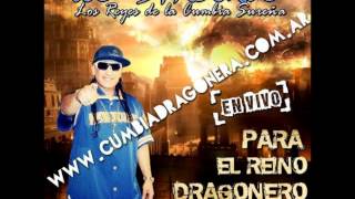 Los Dragones  Por Volverte A Ver  Para Todo El Reino Dragonero Parte 16 [upl. by Stu]