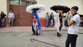 Carnaval Papalotla 2024  La Culebra Xilotzingo [upl. by Marela]