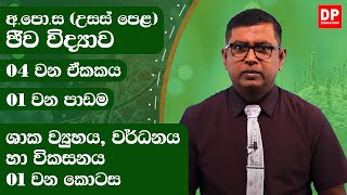 04 වන ඒකකය  01 වන පාඩම  ශාක ව්‍යුහය වර්ධනය හා විකසනය  01 වන කොටස  AL Bio Unit 04 [upl. by Hay377]