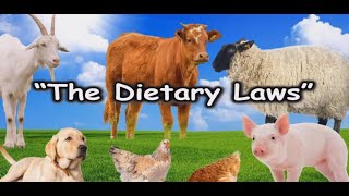 040624  Shabbat Service  quotThe Dietary Lawsquot [upl. by Blinni120]