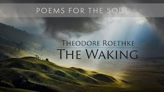 Theodore Roethke  The Waking [upl. by Aramois]