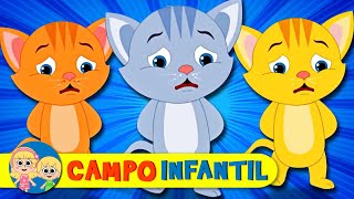 3 Gatitos  Canciones animadas para niños  Campo Infantil [upl. by Eatnoled747]