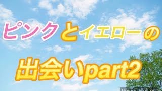 ピンクとイエローの出会いpart2 fnf fridaynightfunkin imposterv4 ゆっくり茶番劇 [upl. by Arykat984]