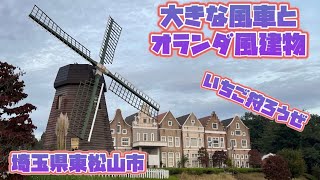 【大岡市民活動センター・農林公園】埼玉県東松山市レンガ造の建物オランダ風車日の出が見える丘？次はいちご狩りの季節に [upl. by Sewell]