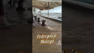 MÁLAGA 😱😱 🌊🌊🌊🌊 ASÍ ESTÁ HOY malaga dana lluvia CUÍDENSEN MI GENTE 🫂❤ [upl. by Anitnegra130]