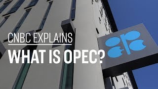 What is OPEC  CNBC Explains [upl. by Pebrook]