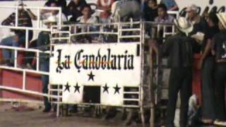 Rancho la Candelaria y Cruz de la Sierra en Chilpancingo que torazos el Bracero y el Pantera [upl. by Fahland]