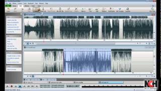 WavePad Audio Editing Software  Intro to Editing [upl. by Hairakcaz502]