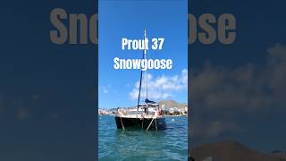 Prout 37 Snowgoose Sailing Catamaran for Sale [upl. by Ney]