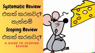 Scoping Review Guide [upl. by Philander248]