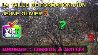 La taille de formation dun jeune olivier [upl. by Dyson]