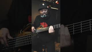 High  Rawayana  Bass Cover [upl. by Benedicta]