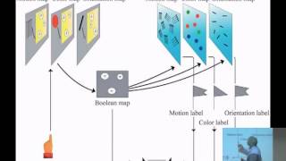 John Campbell What does Visual Experience Have to do with Visual Science [upl. by Omura113]