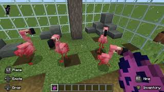 Minecraft Flamingo Enclosure [upl. by Wilhelmine]