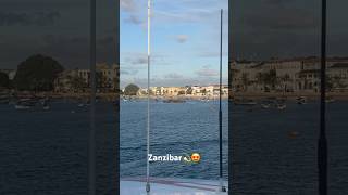 Zanzibar Port travel viral tanzania zanzibar ocean nature love boat shorts stonetown art [upl. by Erastatus]