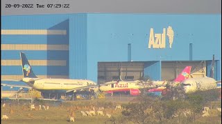 POUSO DO BOEING 767  MOVIMENTO NO HANGAR DA AZUL  DECOLAGEM DO BOEING 747 EM CAMPINAS VIRACOPOS [upl. by Macdougall882]