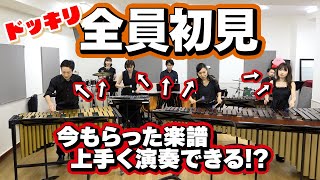 【ドッキリ】プロの打楽器奏者なら今もらった楽譜でも上手く演奏できるはず！！！【いばらAdo】 [upl. by Iharas]