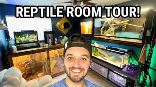 REPTILE ROOM TOUR  September 2023 [upl. by Sirovaj]