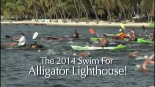 Alligator Lighthouse Swim Race  Islamorada Florida  video for Marathon Florida TV [upl. by Reifel]