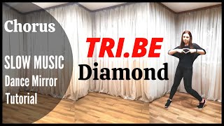 TRIBE 트라이비  Diamond Dance Tutorial  Mirrored  SLOW MUSIC  Domia Pop [upl. by Llenal735]