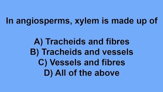 In angiosperms xylem is made up of [upl. by Doi57]