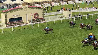 An Honest Day Punting  Royal Ascot  Day 1 Final Part 🐎🐎 [upl. by Enneillij]