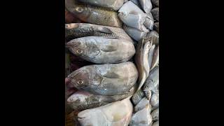 Sagar fish belathur Kadugodi shorts viralvideo food trending sea fishingfood instagram [upl. by Fitzgerald]