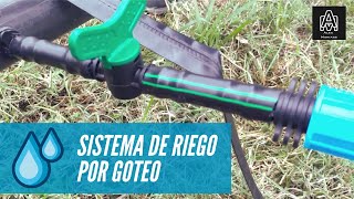 💧Como Poner Sistema de Riego por Goteo para Camas de Cultivo 🍅 Alex Maniass [upl. by Eek]