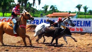 14ª Vaquejada Parque CH em Chapadinha  MA [upl. by Twelve283]