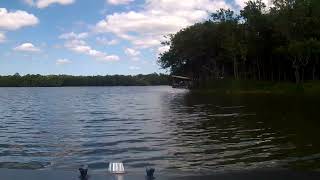 Spring run to mud lake in the sevtec surveyor Hovercraft in 2018 Deleon Springs state park [upl. by Nevil]