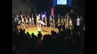 Showauftritt Faschingsparty Sportlergschnas Heidenreichstein 2011flv [upl. by Nola783]