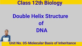 Double Helix Structure of DNAClass 12th Biology [upl. by Soble]